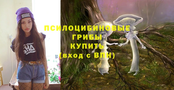 прущие крисы Богданович