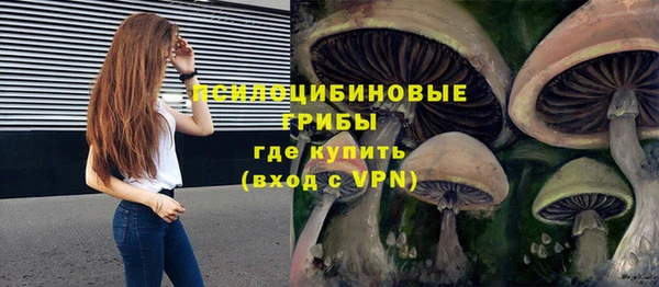 сатива Богородск