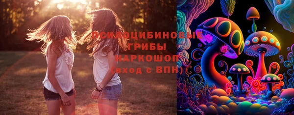 меф Богородицк
