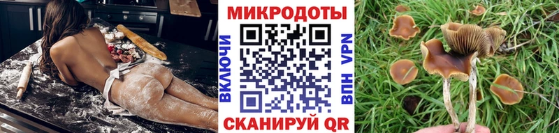 наркотики  Сызрань  KRAKEN вход  Галлюциногенные грибы Psilocybe 